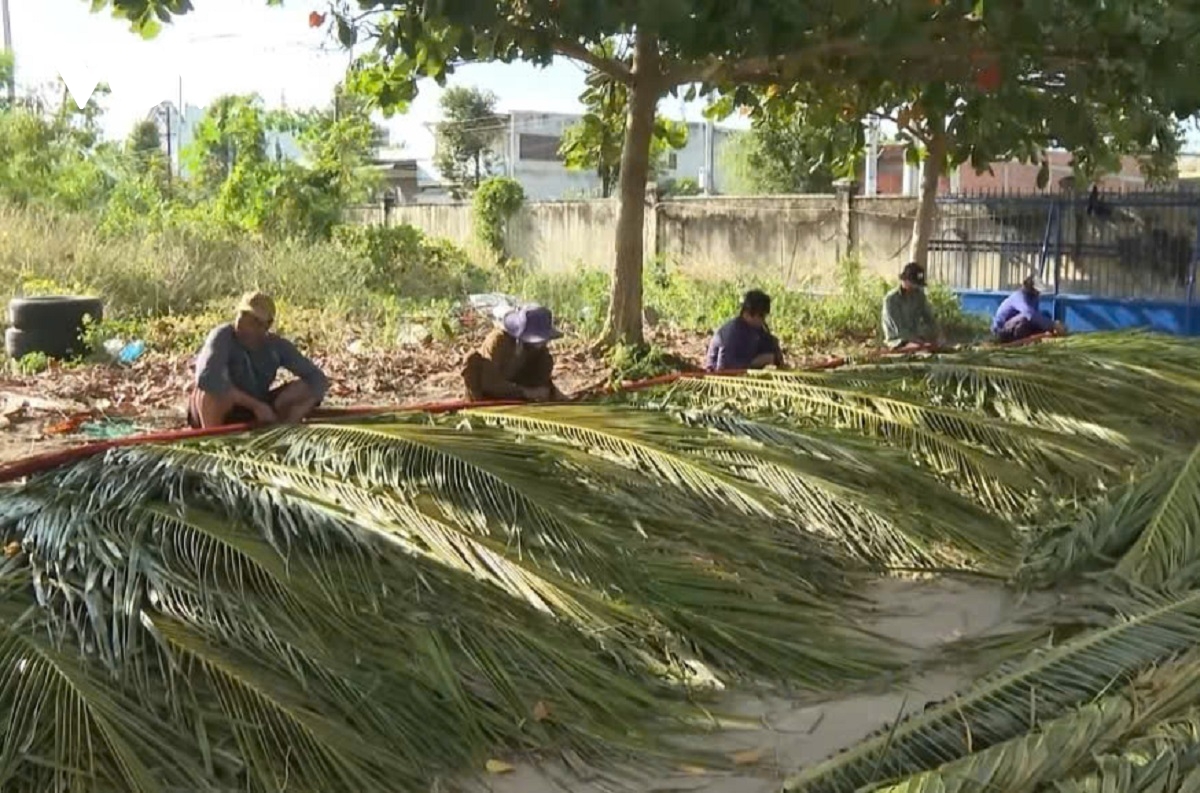 bien thuan, ngu dan lam Dong boi thu hinh anh 3