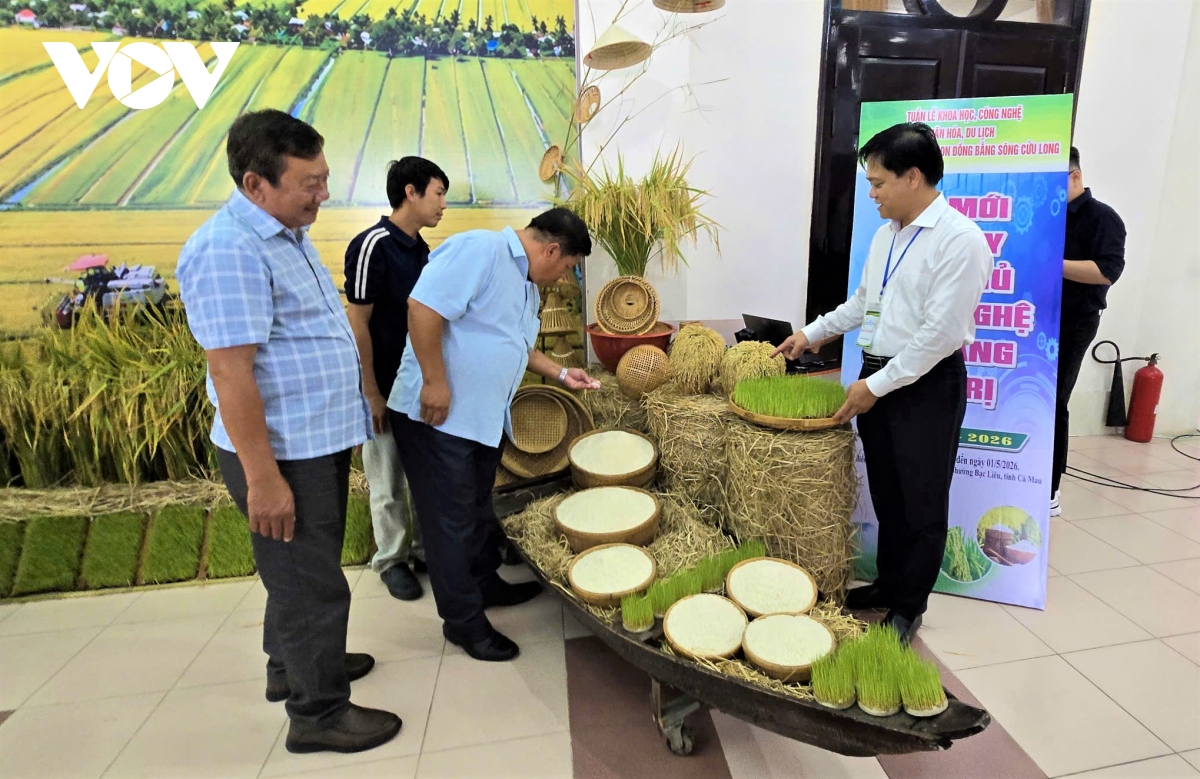 ca mau khai mac cuoc thi gao ngon vung Dbscl lan thu i nam 2026 hinh anh 2