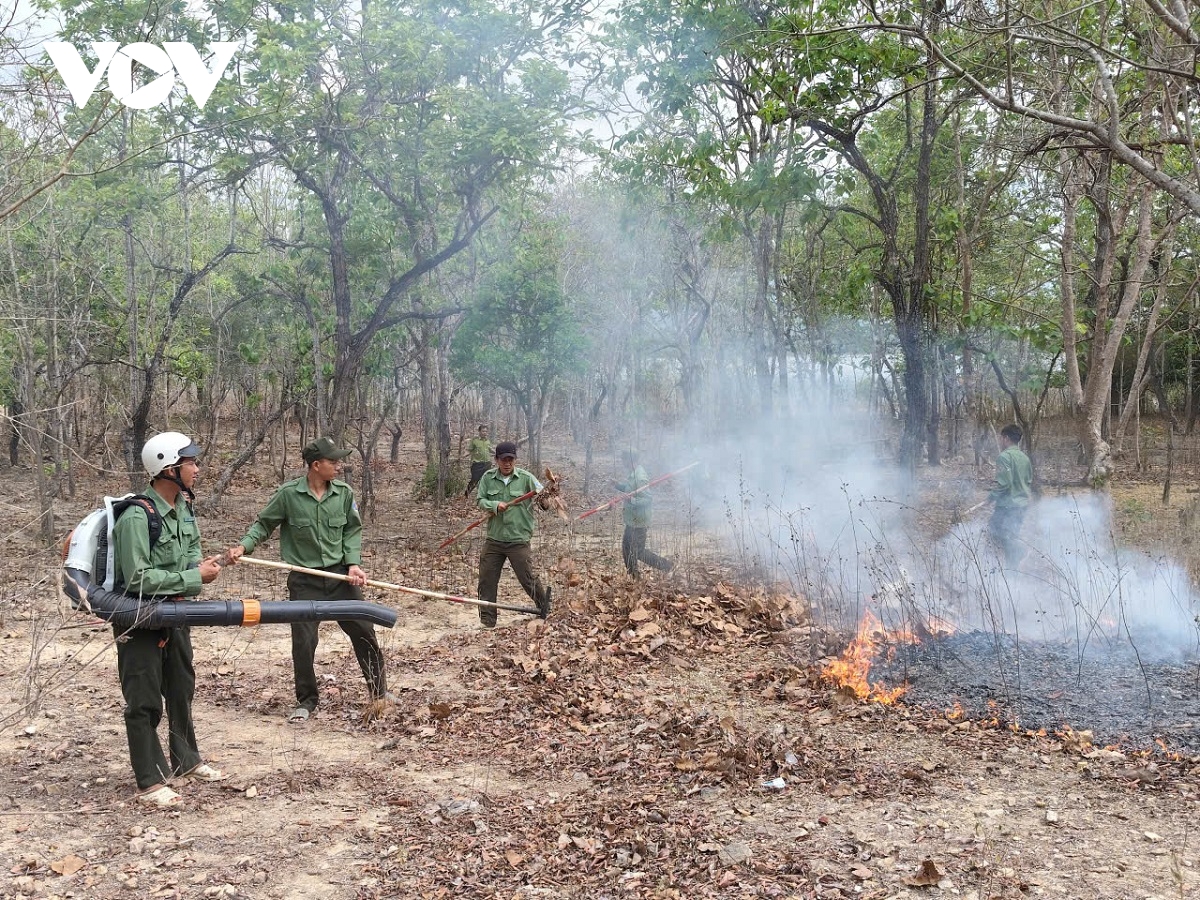 Chủ động giữ rừng ở Lâm Đồng trong cao điểm mùa khô