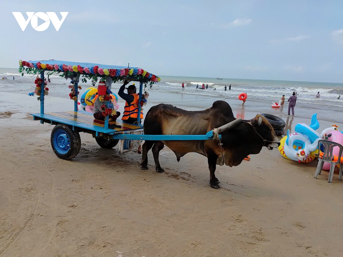 du lich bien lam Dong nong ngay tu ky nghi gio to hung vuong hinh anh 3