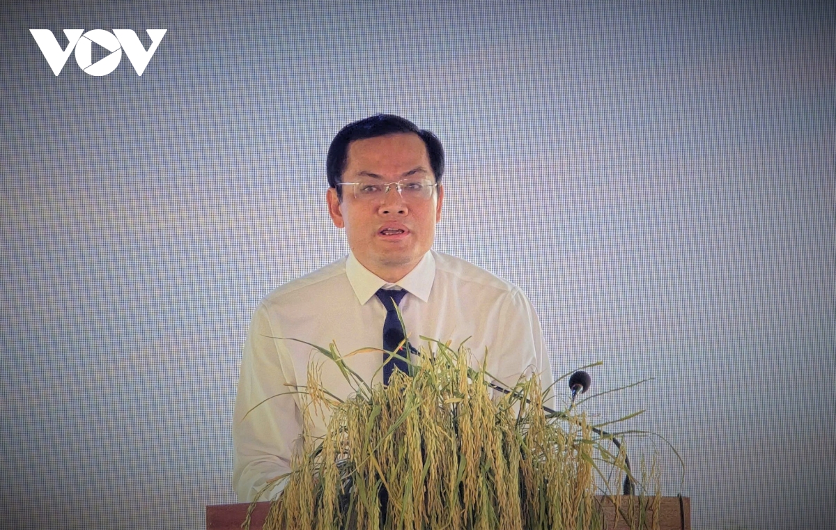 ca mau thanh lap bao tang va xay dung bieu tuong ton vinh lua nuoc hinh anh 3