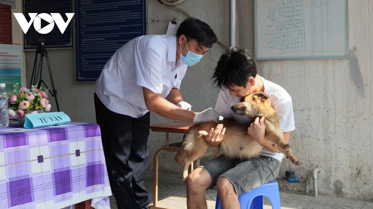 xu ly cho tha rong tai tp.hcm noi quyet liet, noi bo ngo hinh anh 3