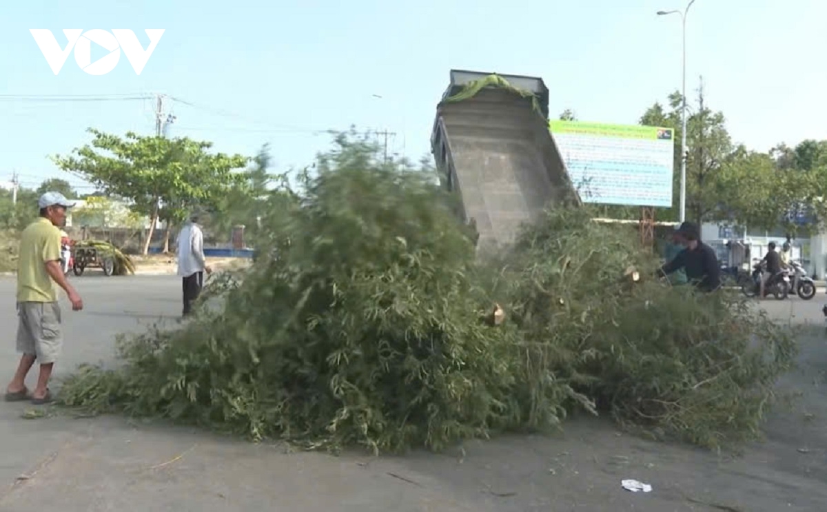 bien thuan, ngu dan lam Dong boi thu hinh anh 4