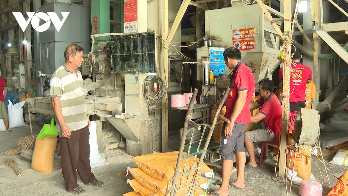 nguoi nong dan lam nen thuong hieu gao ba cao hinh anh 2