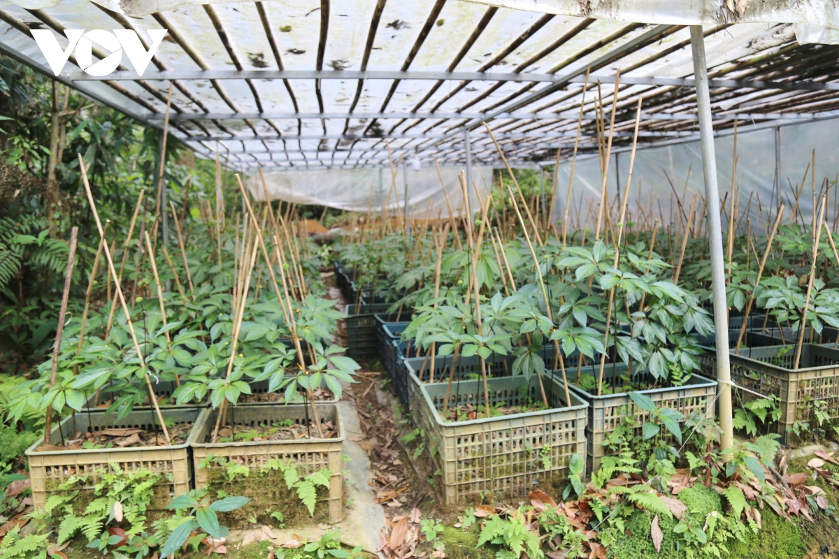 ket nghia dong bang - mien nui cach Da nang keo cac vung lai gan nhau hinh anh 3