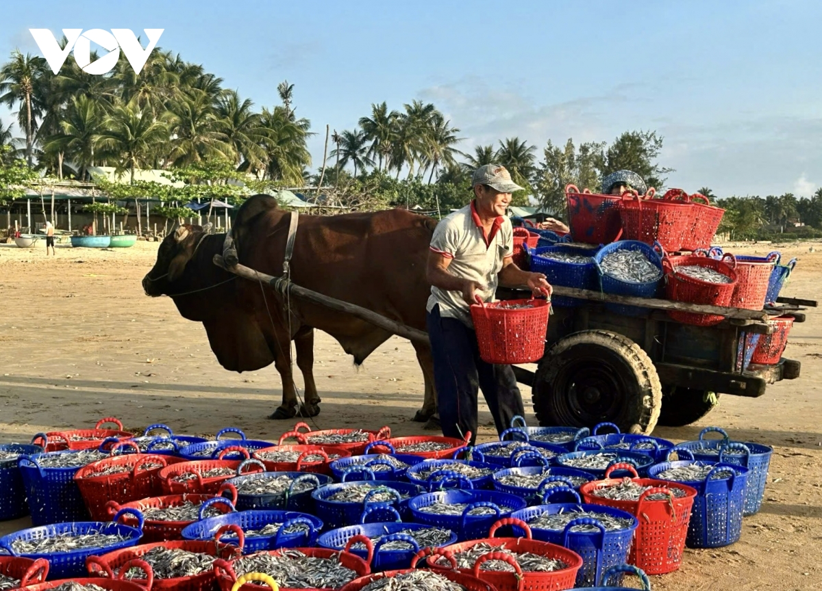 lang chai long thuy 300 nam gin giu huong vi nuoc mam truyen thong hinh anh 4