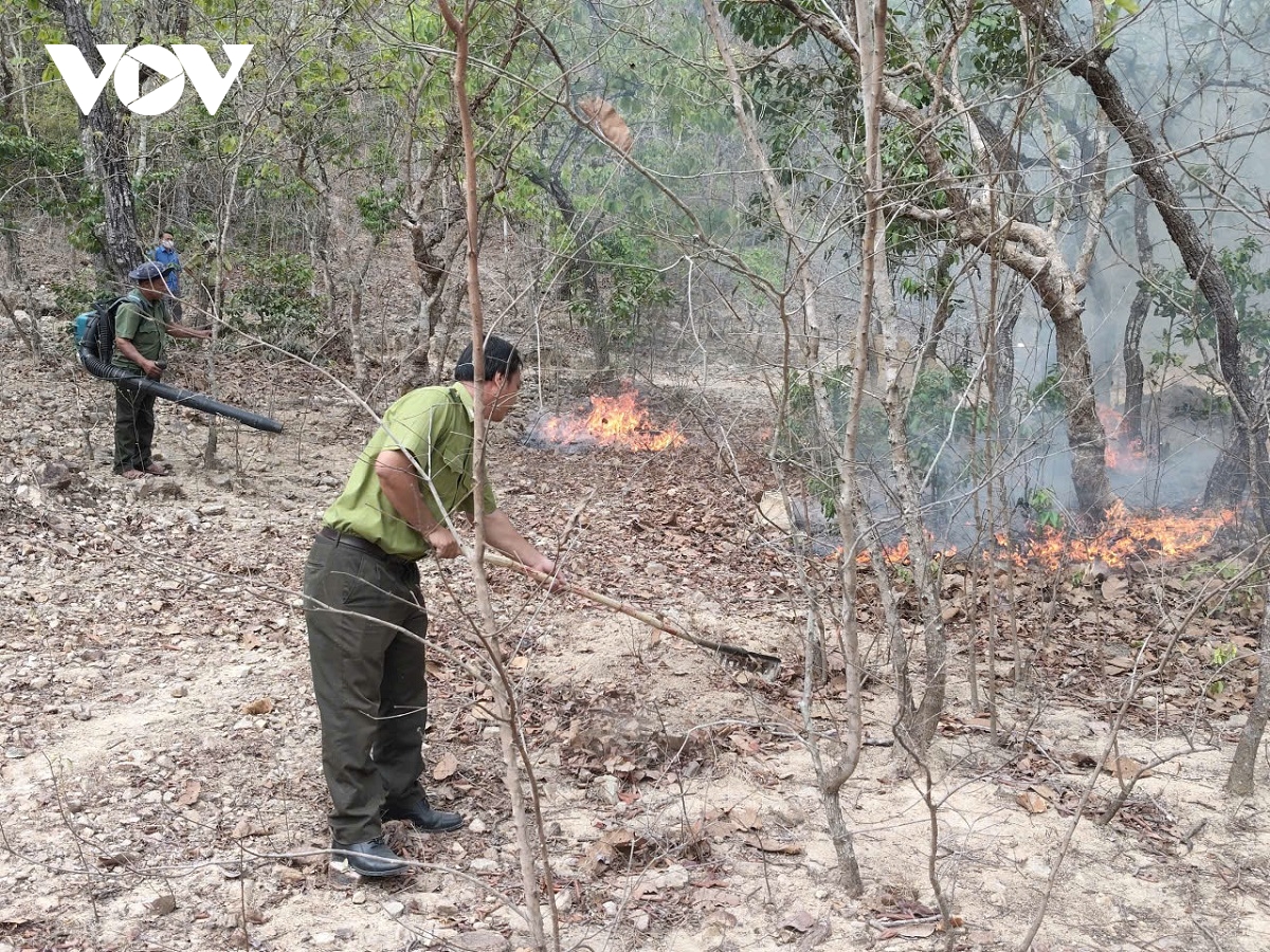 chu dong giu rung o lam Dong trong cao diem mua kho hinh anh 2