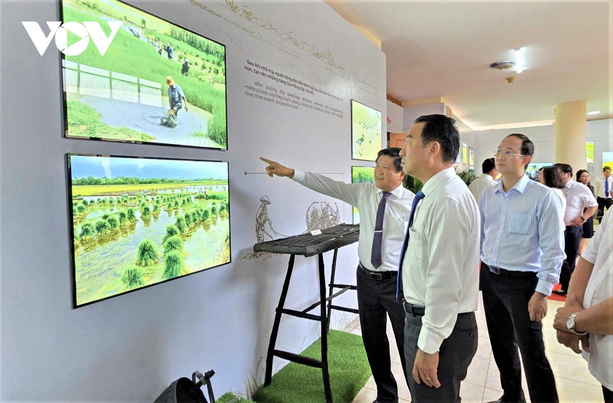 ca mau thanh lap bao tang va xay dung bieu tuong ton vinh lua nuoc hinh anh 2