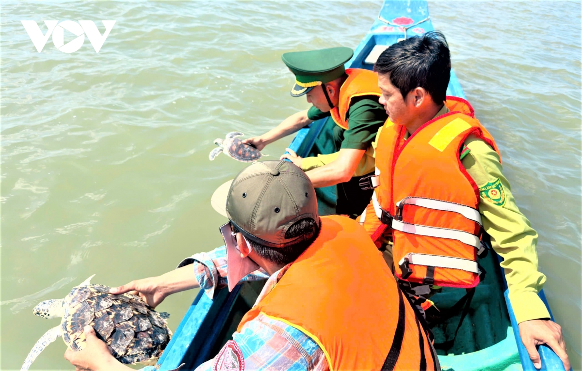 tha ky da hoa va vich bien 60kg ve tu nhien hinh anh 3