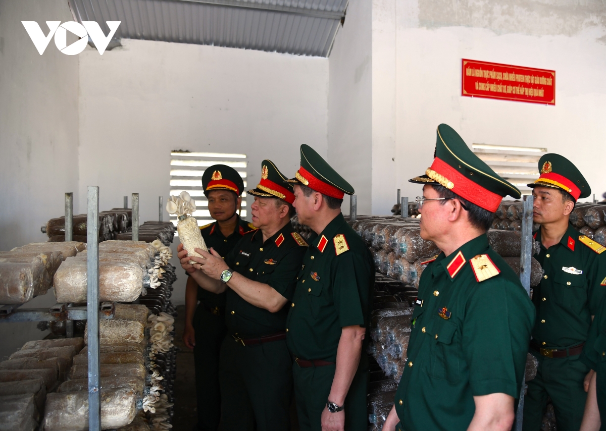 Dai tuong nguyen trong nghia nang cao chat luong huan luyen, xay dung don vi mau muc, tieu bieu hinh anh 1