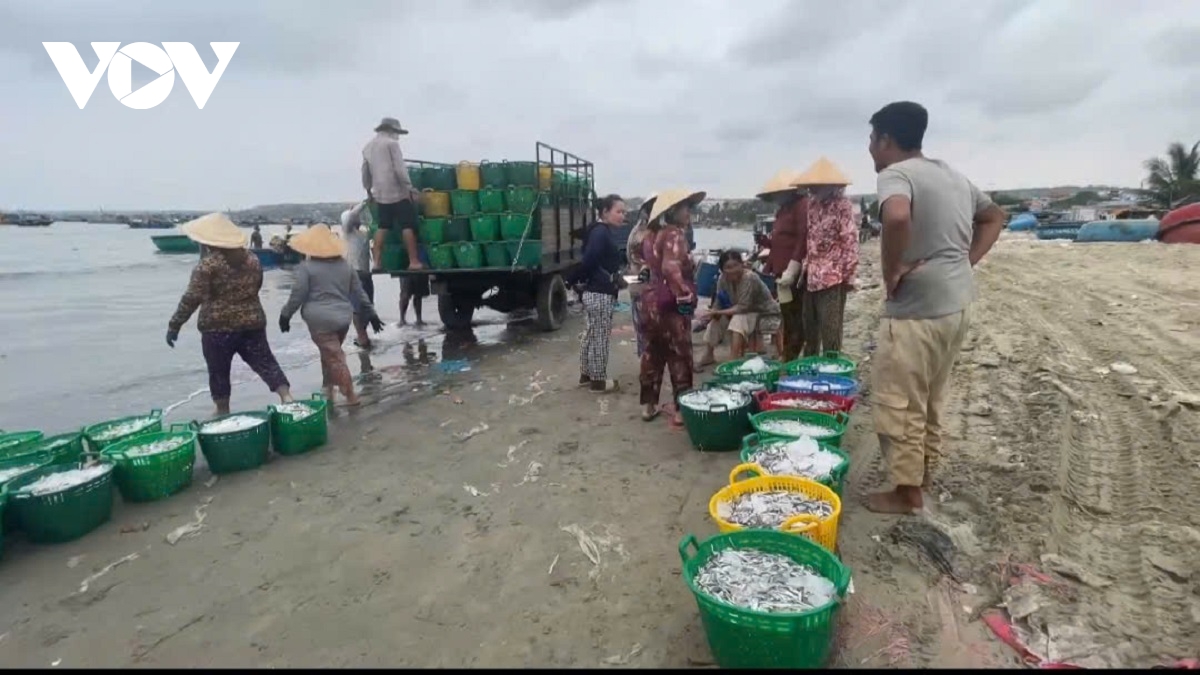 bien thuan, ngu dan lam Dong boi thu hinh anh 1
