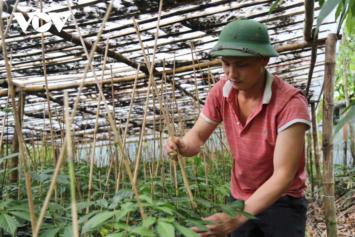 ket nghia dong bang - mien nui cach Da nang keo cac vung lai gan nhau hinh anh 4