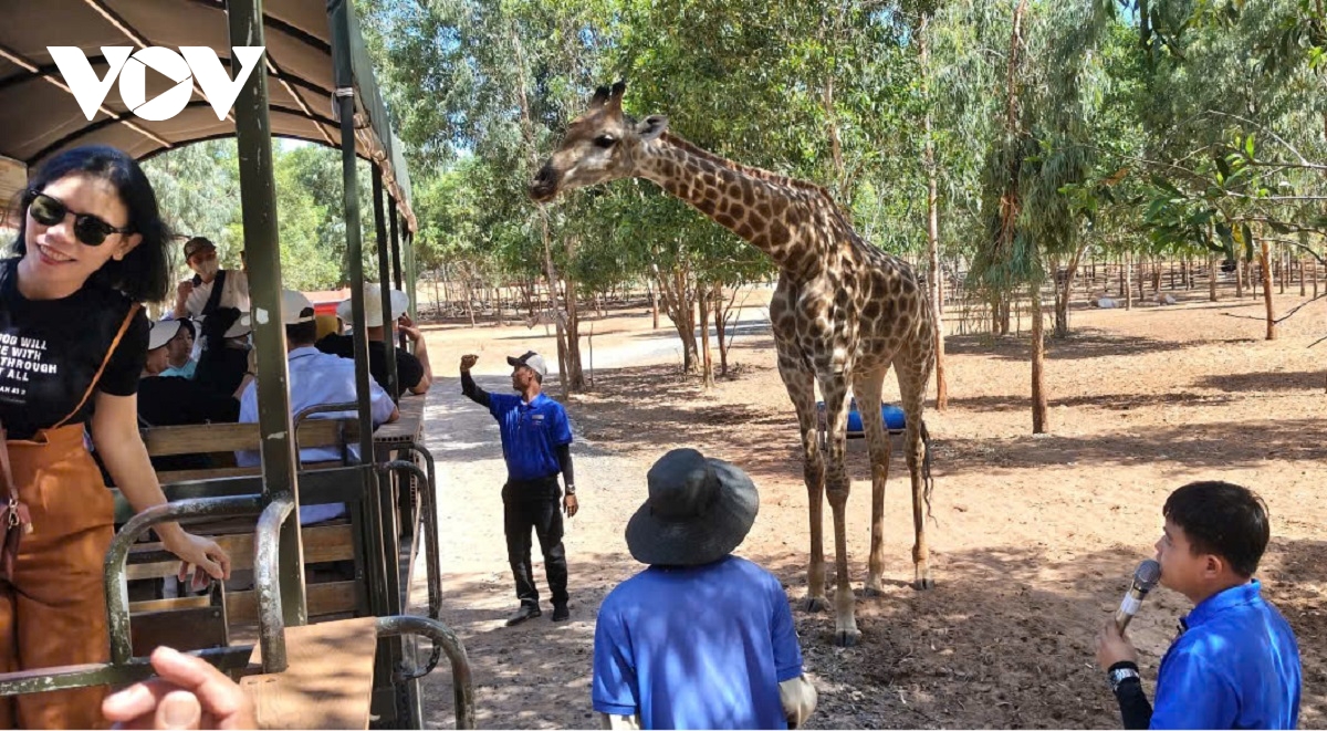 du lich lam Dong linh hoat tour duong bo, lam moi diem den don song du khach hinh anh 4