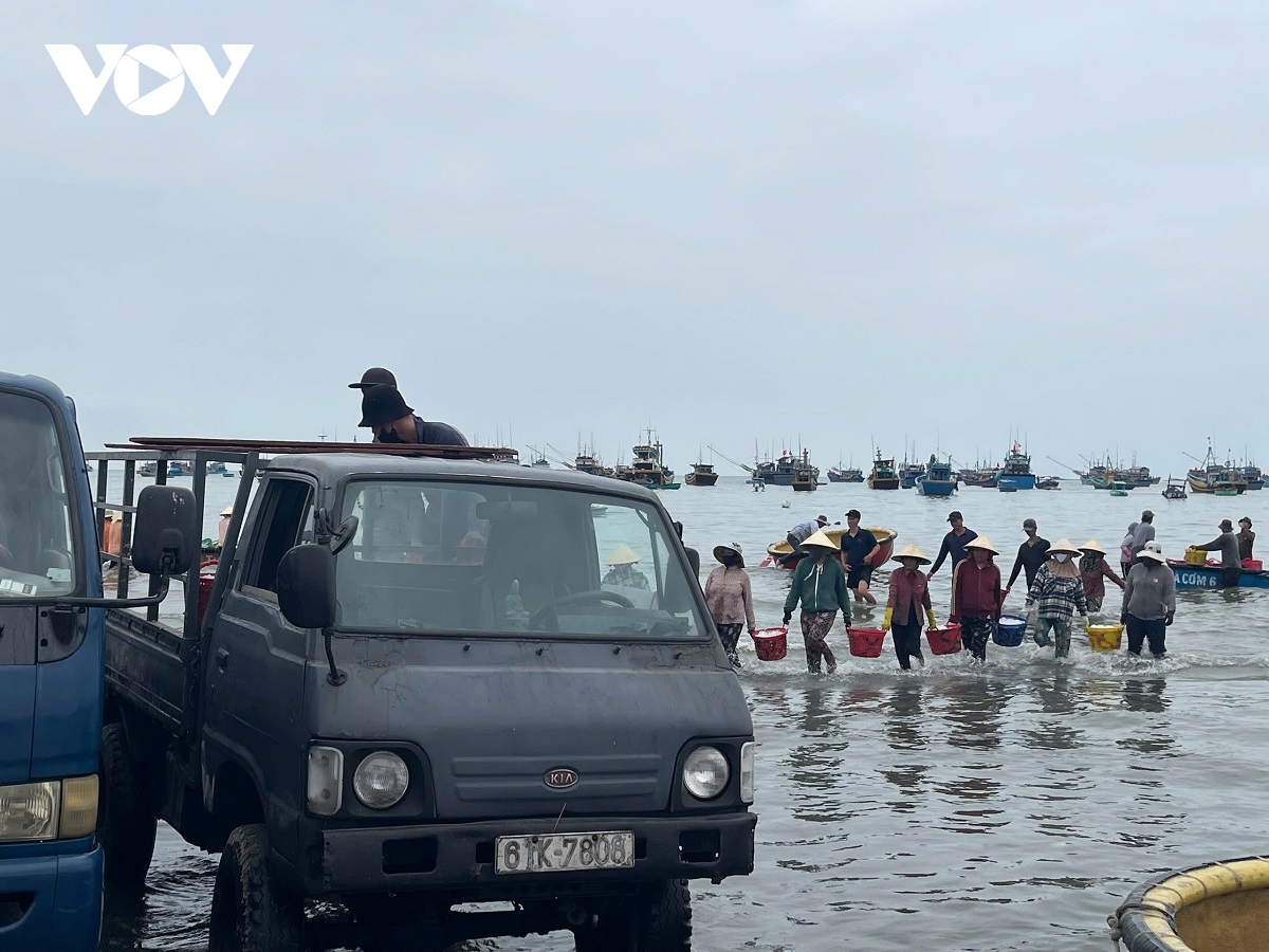 bien thuan, ngu dan lam Dong boi thu hinh anh 2
