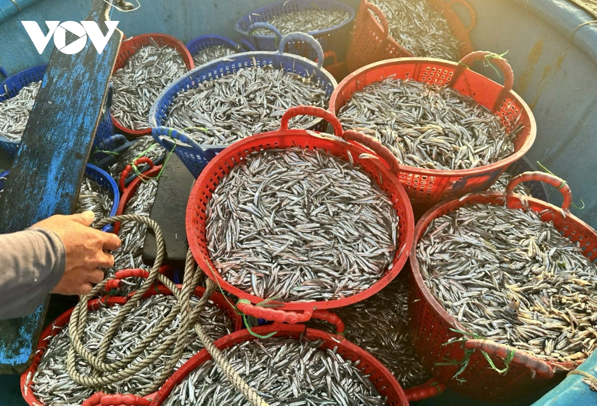 lang chai long thuy 300 nam gin giu huong vi nuoc mam truyen thong hinh anh 5