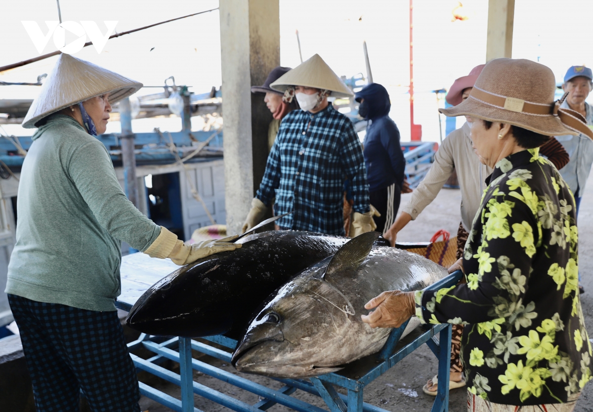 nganh thuy san Dak lak no luc nang cao gia tri hinh anh 3