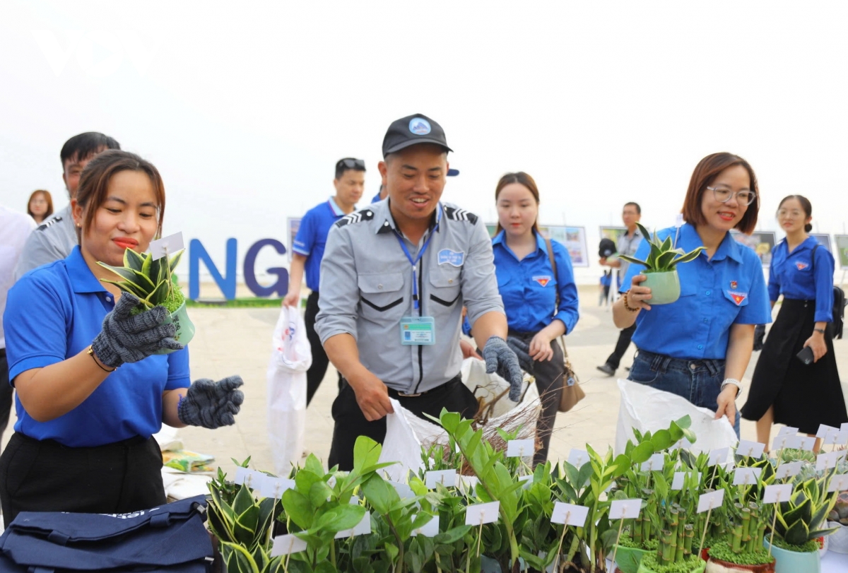 tuoi tre Da nang chung tay lam sach bai bien hinh anh 4