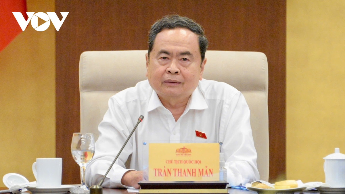 thong nhat trinh quoc hoi xem xet cac muc thue doi voi xang, dau, nhien lieu bay hinh anh 4