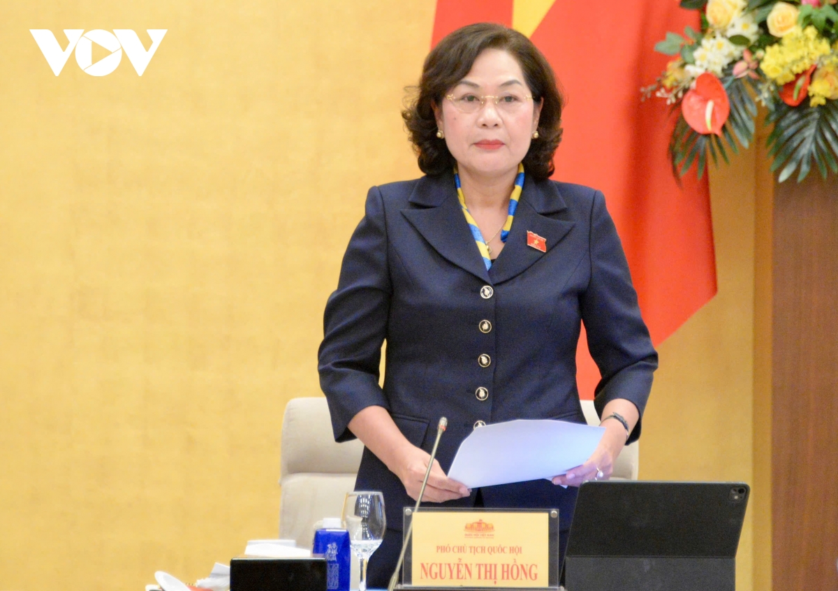 thong nhat trinh quoc hoi xem xet cac muc thue doi voi xang, dau, nhien lieu bay hinh anh 3