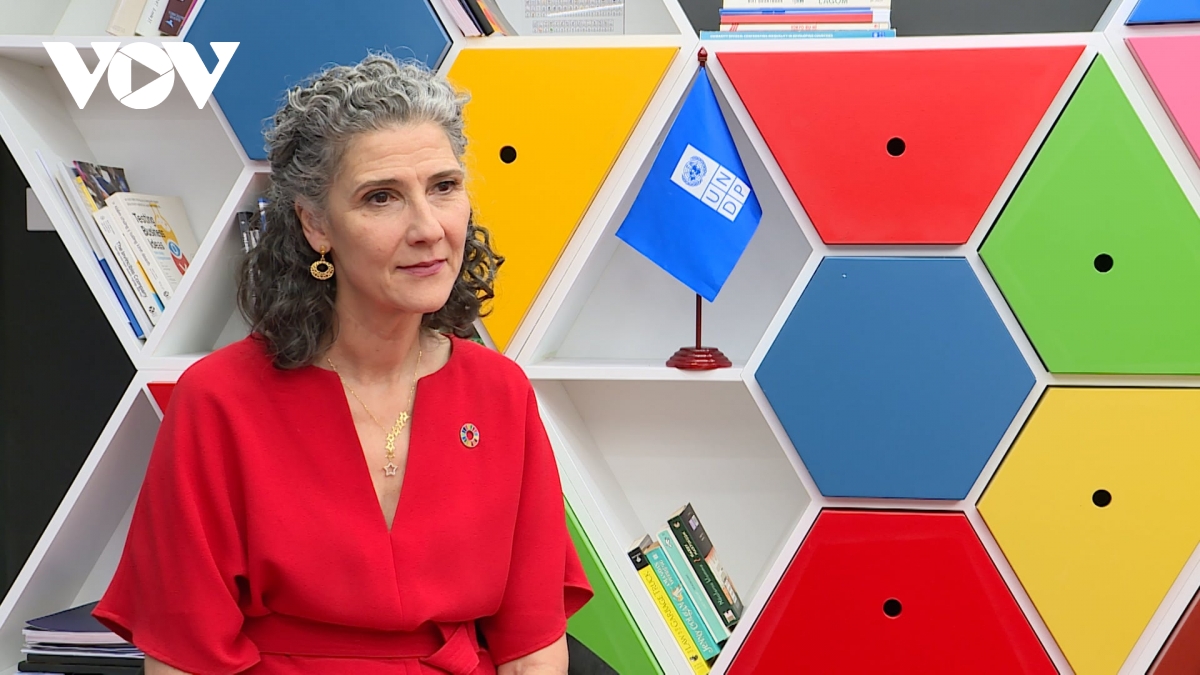 undp dong hanh cung viet nam trong chang duong phat trien moi hinh anh 1