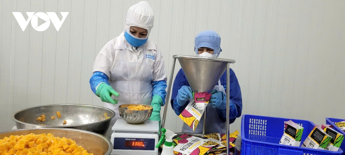 kinh te tinh Dong thap quy i dat nhieu con so but pha hinh anh 1