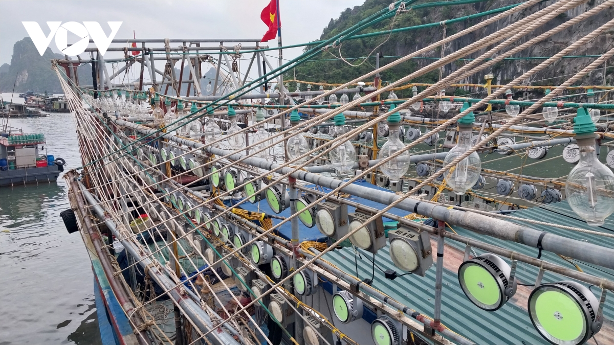 Giá xăng dầu tăng cao ảnh hưởng đến đánh bắt thủy hải sản.jpg