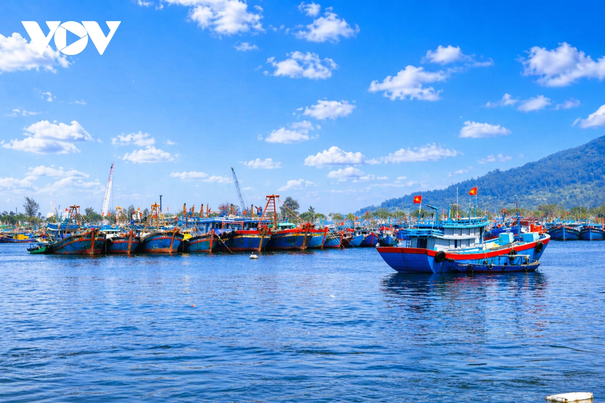 Da nang dung hang rao so chong khai thac iuu hinh anh 3