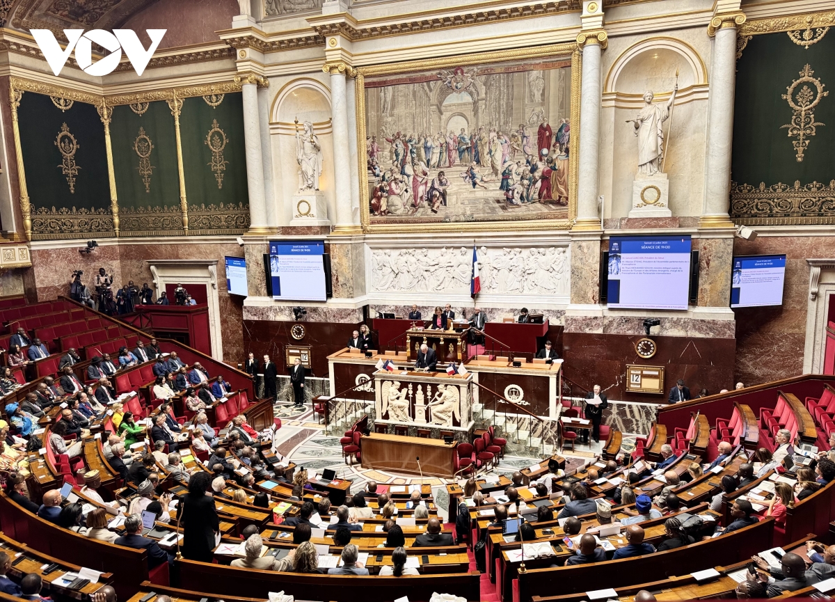 quoc hoi phap thong qua du luat sua doi ve hoan tra co vat thoi thuoc dia hinh anh 1