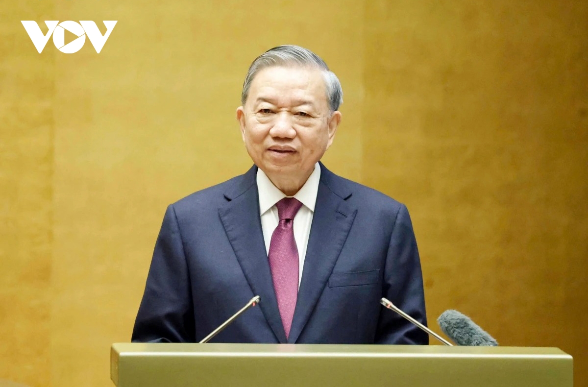 party chief calls for stronger discipline, institutional reform, development breakthrough picture 1