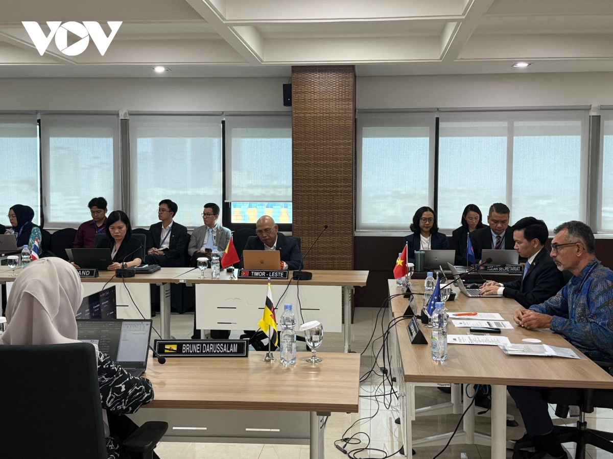 viet nam thuc day hoi nhap va lien ket kinh te giua asean- eu hinh anh 1