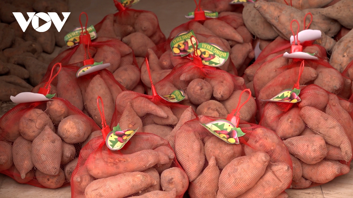 lien ket hop tac xa - doanh nghiep can mot co che hop dong dai han hinh anh 1