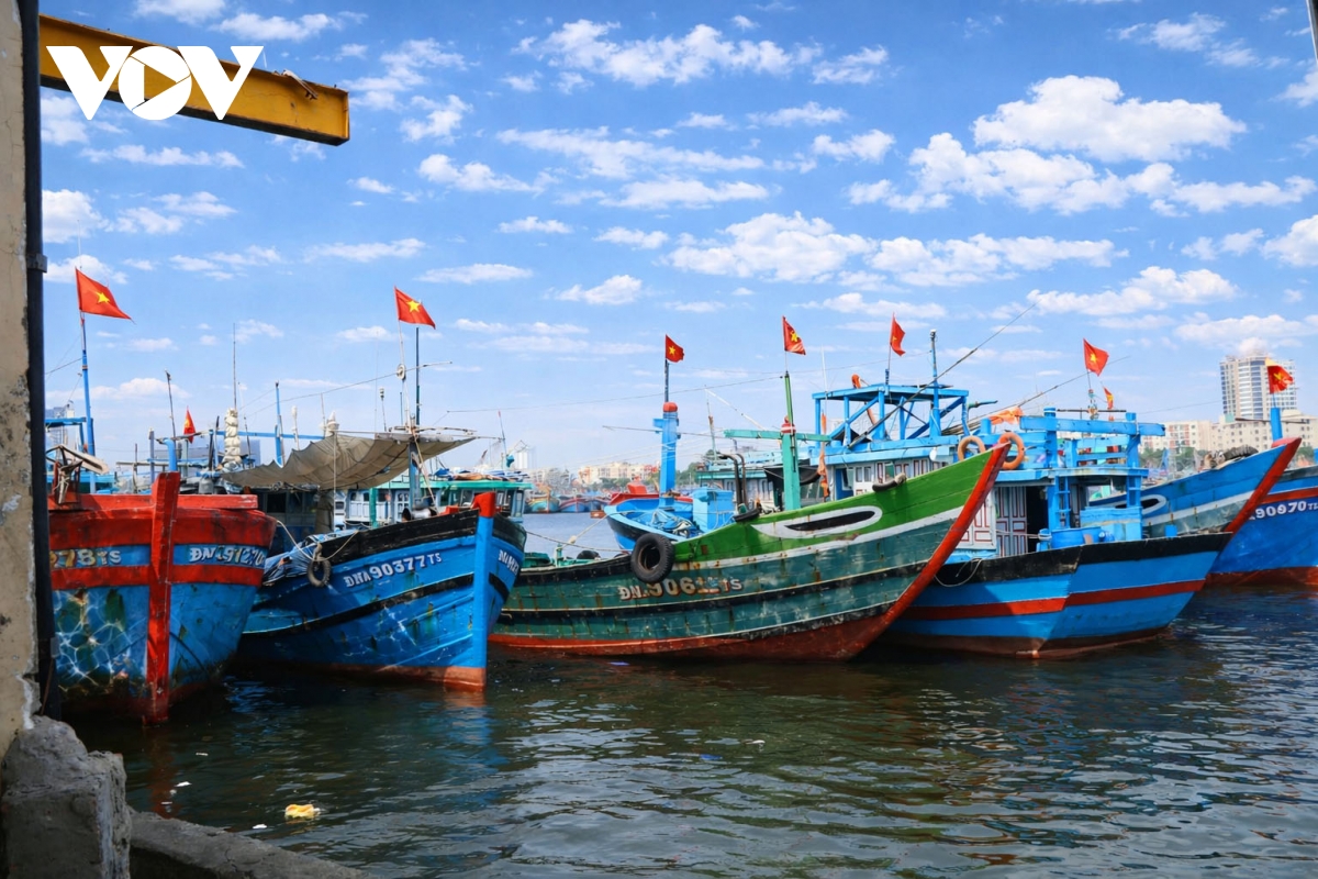 Da nang tai dinh hinh ha tang nghe ca trong khong gian phat trien moi hinh anh 3