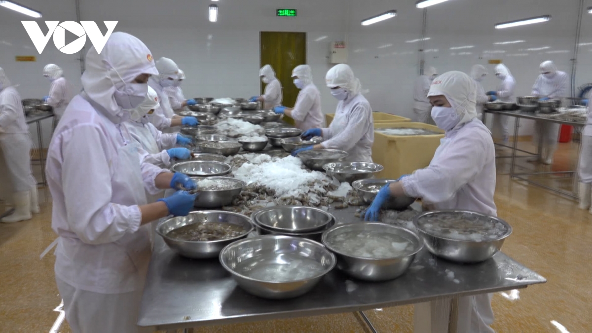 Chiến lược tăng trưởng xuất khẩu 2026 chuyển dịch từ lượng đến chất