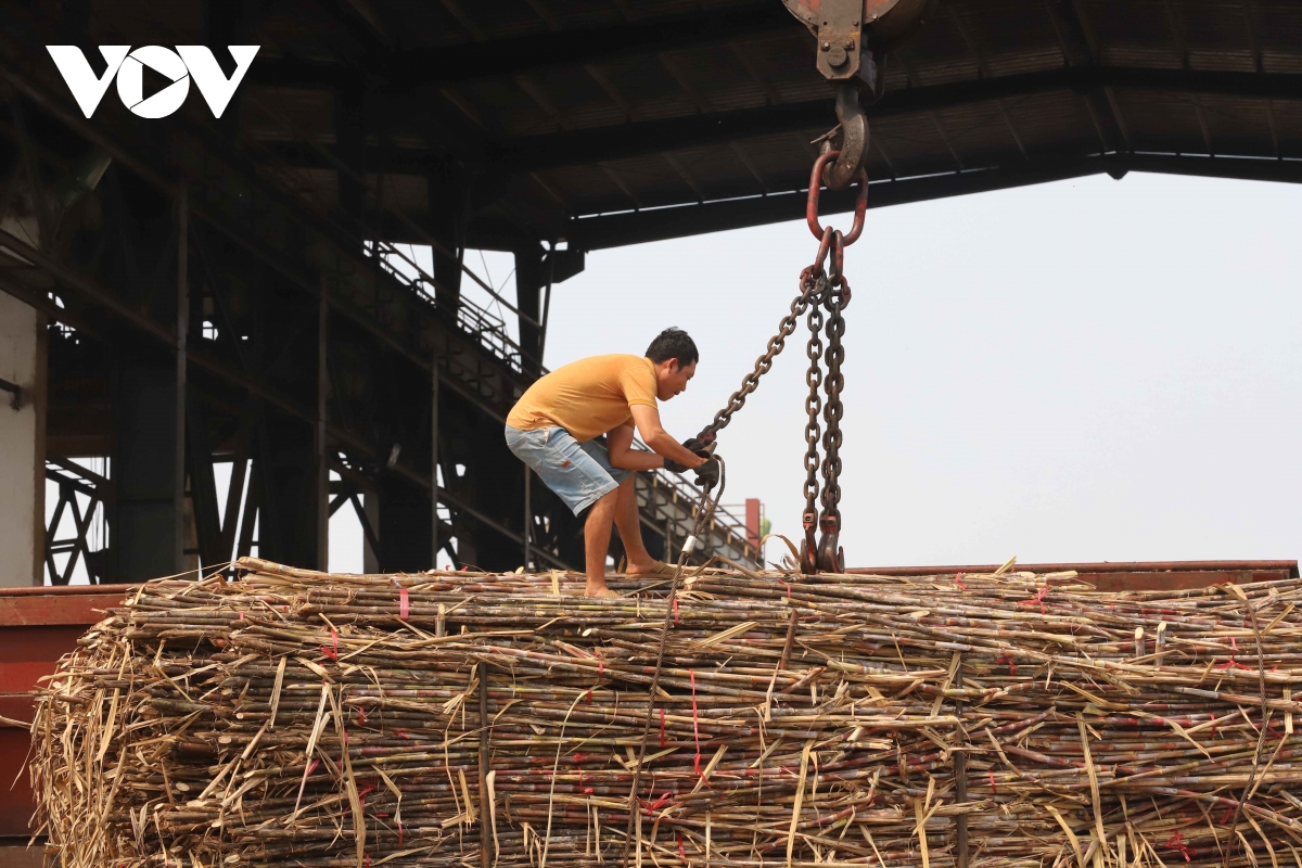 khong nghi le giu dong ngot cho san xuat hinh anh 4