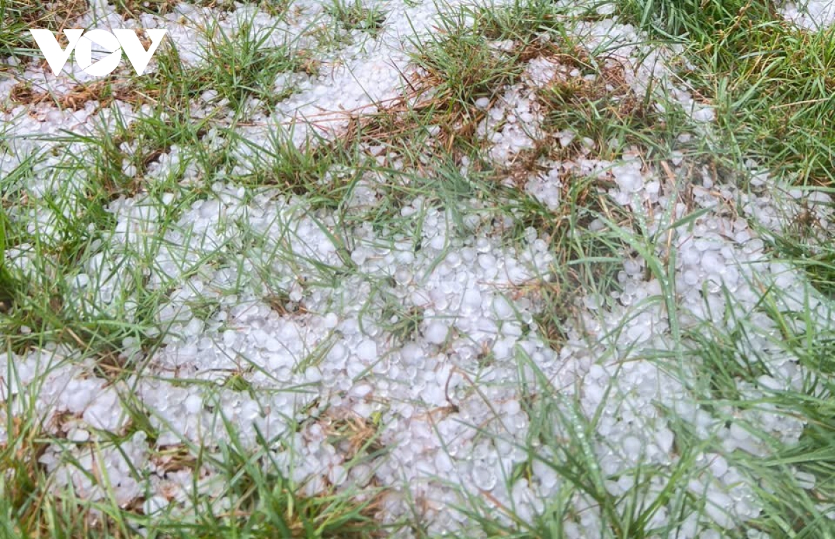 mua da o quang ngai khien nhieu dien tich cay nong nghiep bi hu hong hinh anh 1