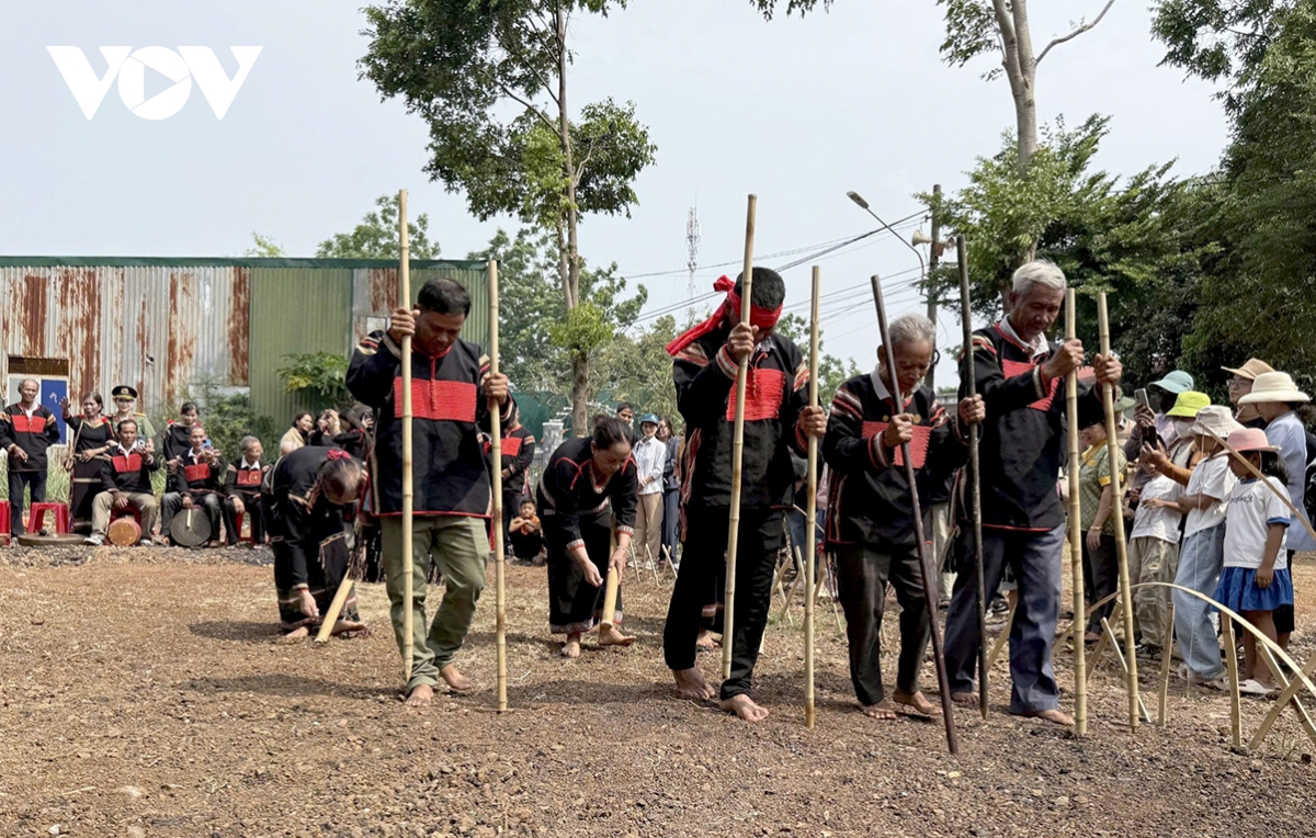 rain-praying ritual of ede people revived in central highlands picture 2