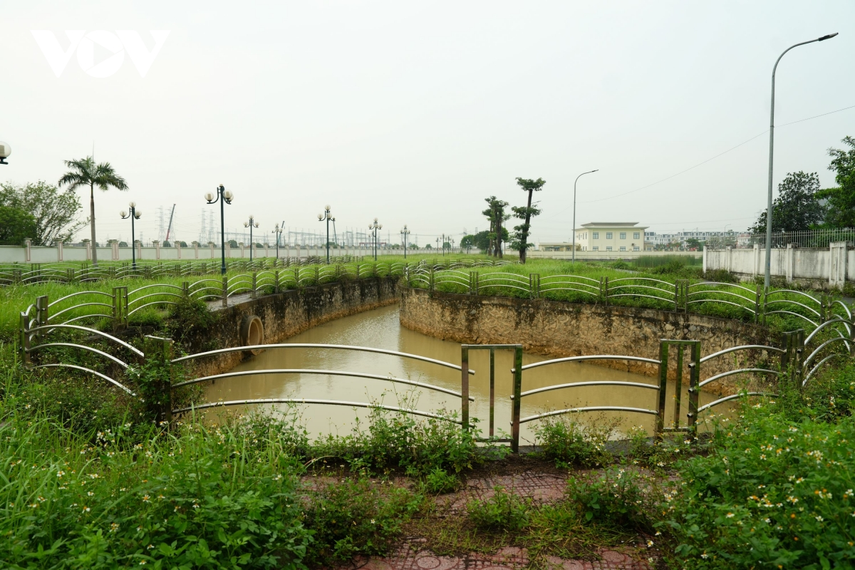 vuon hoa cao ba quat ha noi tu la phoi xanh thanh khu dat hoang co dai hinh anh 9