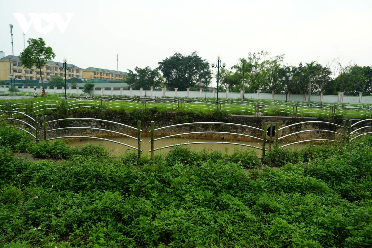 vuon hoa cao ba quat ha noi tu la phoi xanh thanh khu dat hoang co dai hinh anh 10