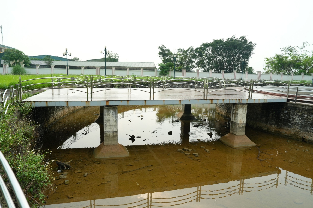 vuon hoa cao ba quat ha noi tu la phoi xanh thanh khu dat hoang co dai hinh anh 14