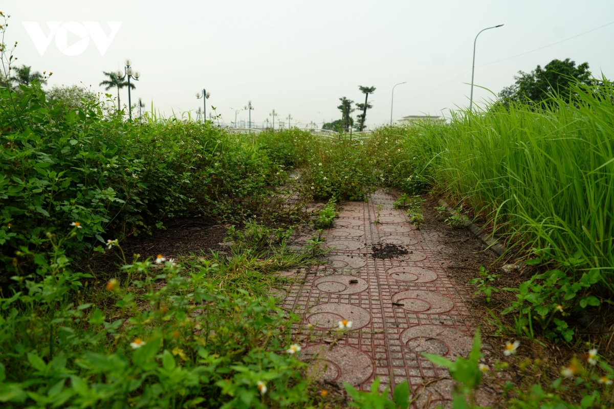 vuon hoa cao ba quat ha noi tu la phoi xanh thanh khu dat hoang co dai hinh anh 15