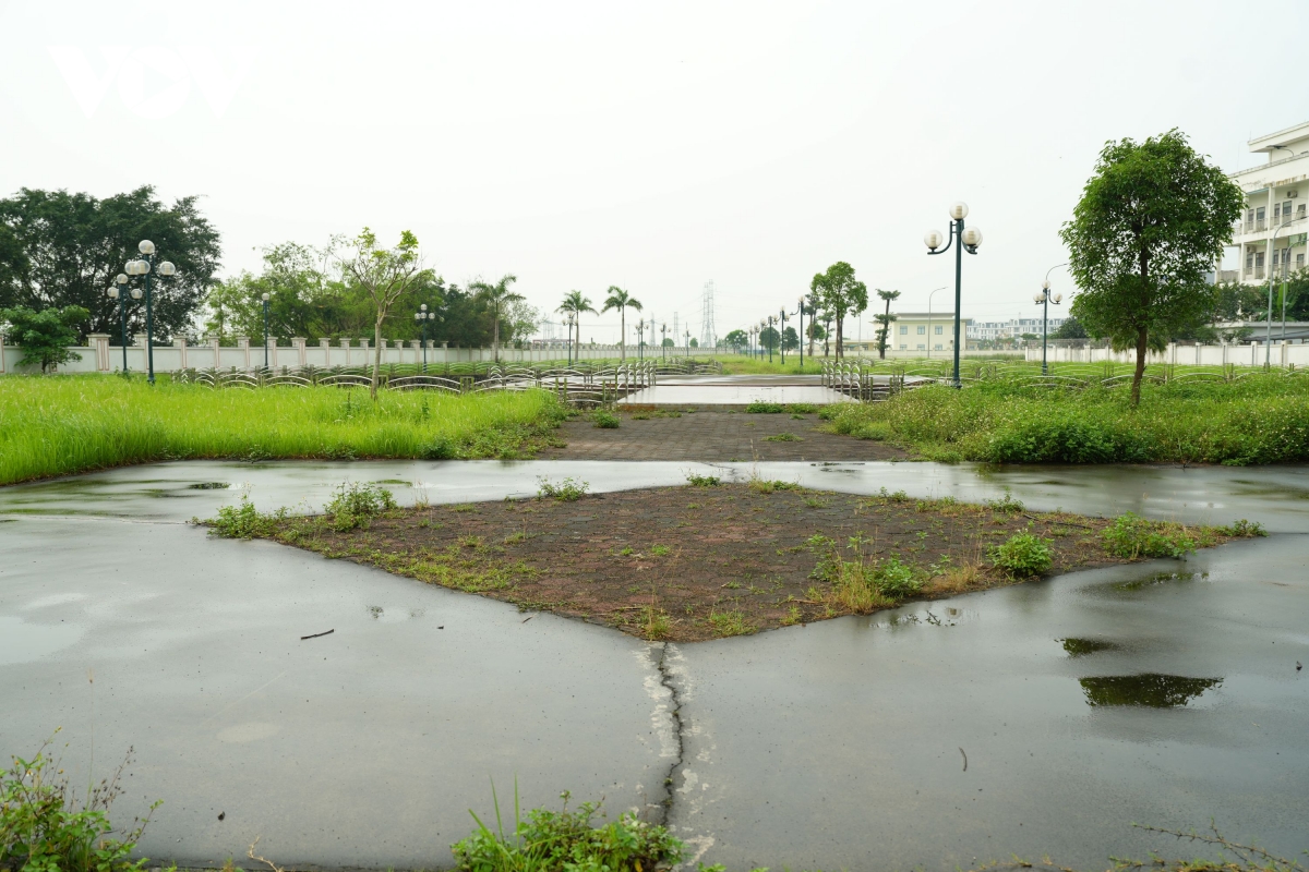 vuon hoa cao ba quat ha noi tu la phoi xanh thanh khu dat hoang co dai hinh anh 1