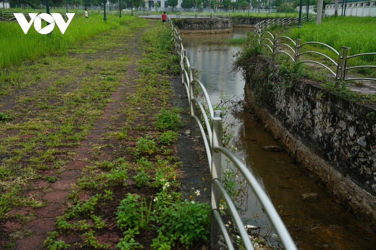 vuon hoa cao ba quat ha noi tu la phoi xanh thanh khu dat hoang co dai hinh anh 16