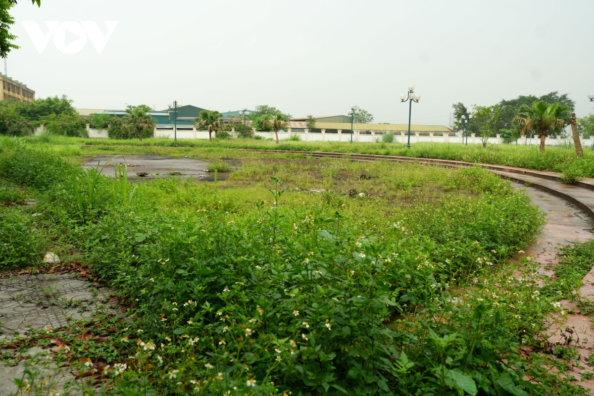 vuon hoa cao ba quat ha noi tu la phoi xanh thanh khu dat hoang co dai hinh anh 2