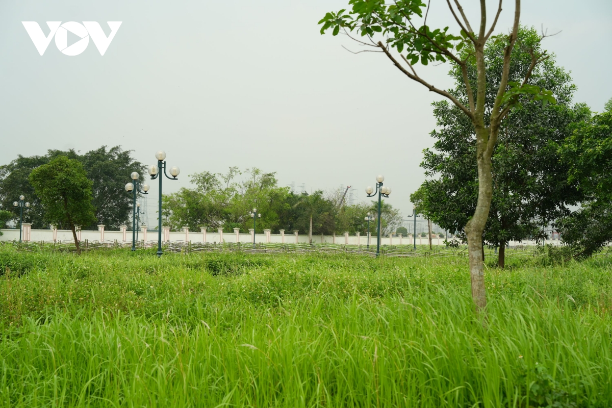 vuon hoa cao ba quat ha noi tu la phoi xanh thanh khu dat hoang co dai hinh anh 3