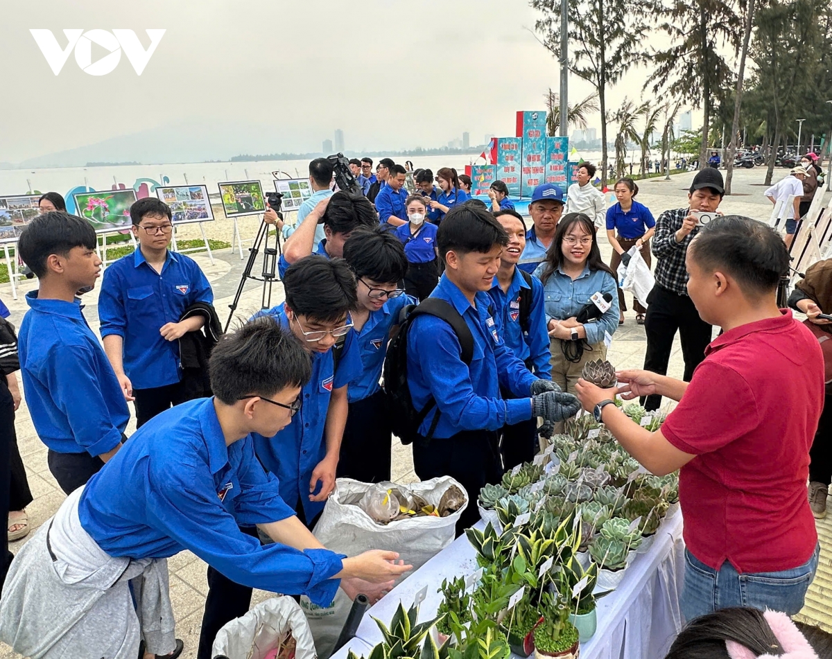 tuoi tre Da nang chung tay lam sach bai bien hinh anh 1