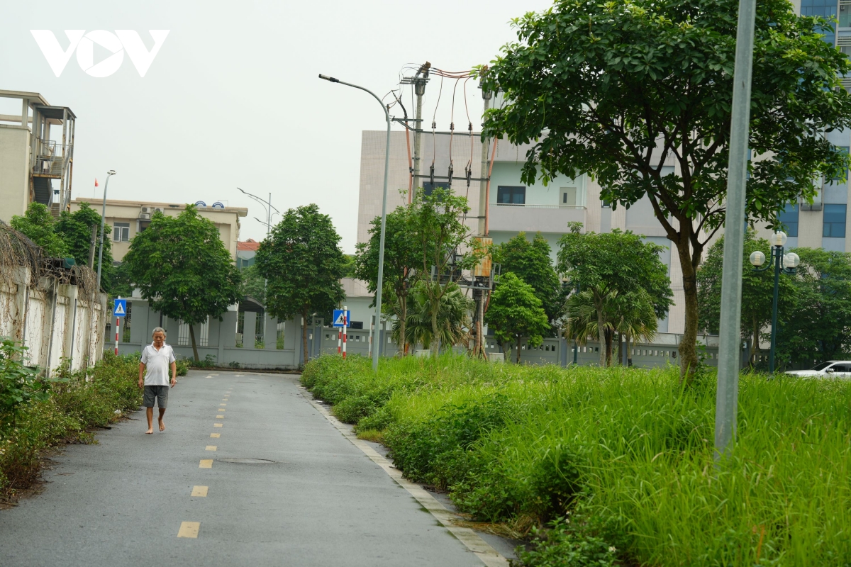 vuon hoa cao ba quat ha noi tu la phoi xanh thanh khu dat hoang co dai hinh anh 5
