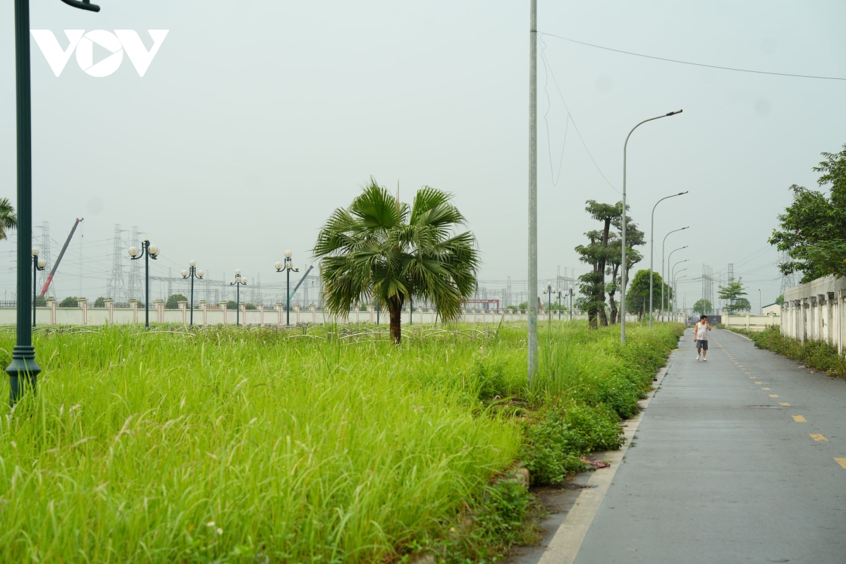 vuon hoa cao ba quat ha noi tu la phoi xanh thanh khu dat hoang co dai hinh anh 6