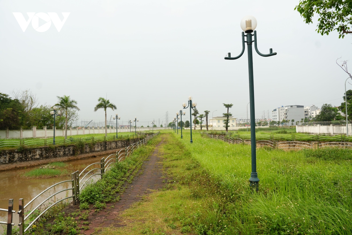 vuon hoa cao ba quat ha noi tu la phoi xanh thanh khu dat hoang co dai hinh anh 7