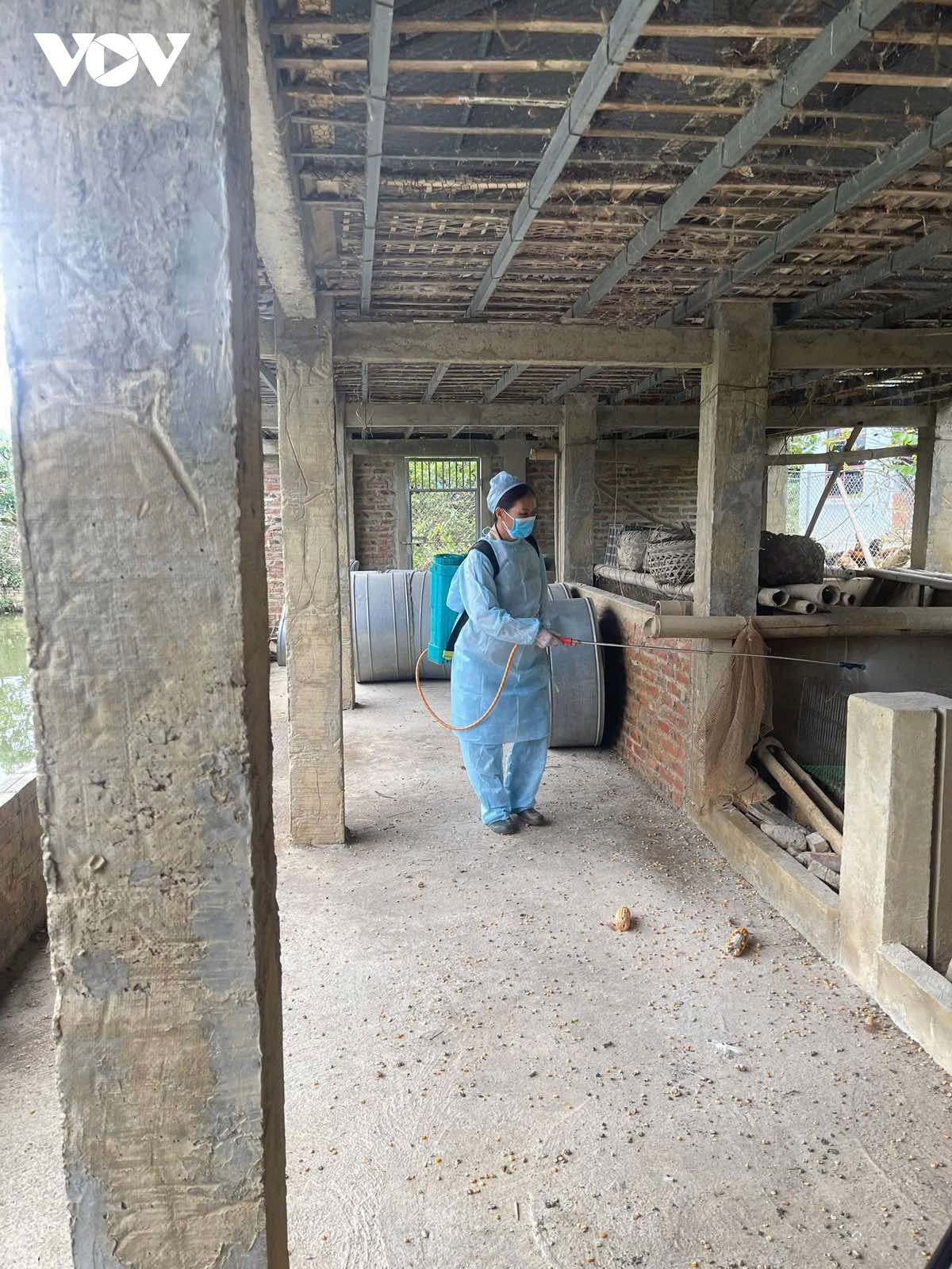 cao bang ngan dich ta lon chau phi lan rong hinh anh 2