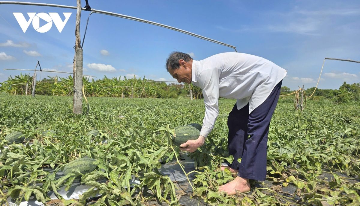 nguon nuoc Dong bang song cuu long truoc ap luc gia tang bai 1 hinh anh 1